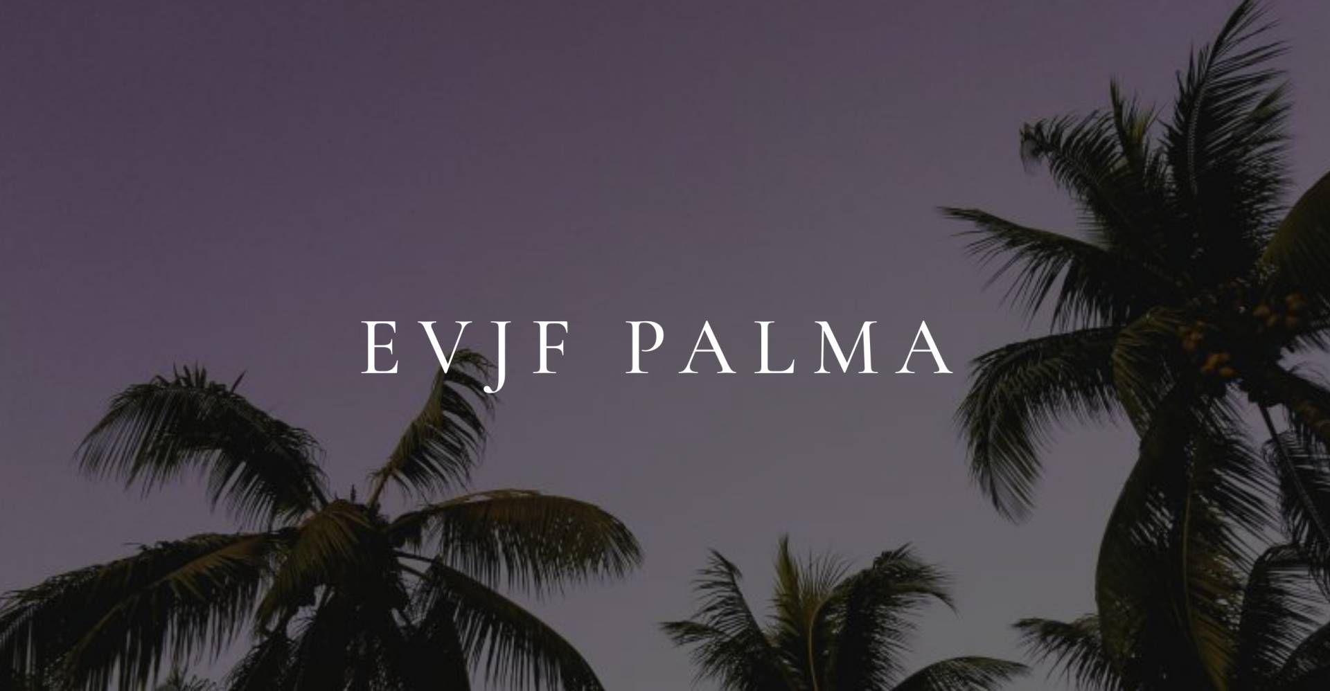 EVJF PALMA DE MAJORQUE